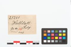 Etikett zu Bronzekahnfibel (NHMW-PRAE-025221)
